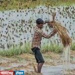अवकाळीबाधीत शेतकऱ्यांना सरकारचा मोठा दिलासा ; आर्थिक मदत केली जाहीर….